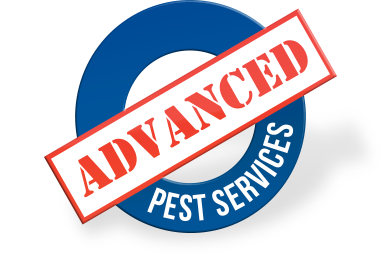 Advanced Pest Services Bakersfield, CA